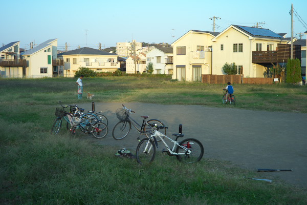 L1064188.jpg