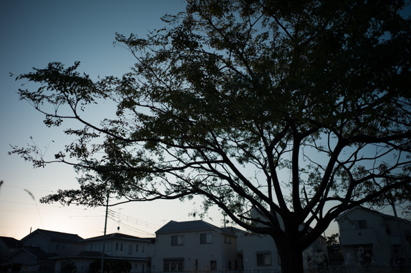 L1064350.jpg